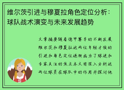 维尔茨引进与穆夏拉角色定位分析：球队战术演变与未来发展趋势