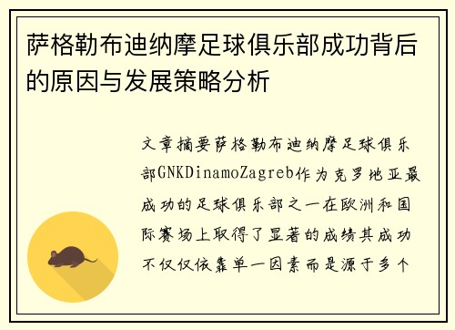 萨格勒布迪纳摩足球俱乐部成功背后的原因与发展策略分析